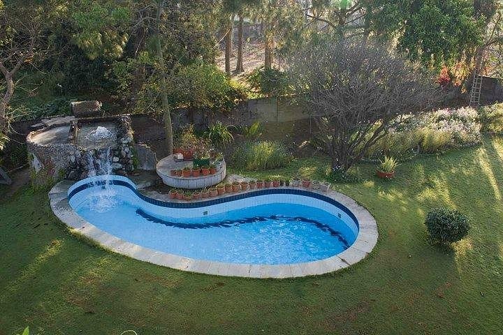 TREE OF LIFE  HOMESTEAD CORBETT COUNTRY